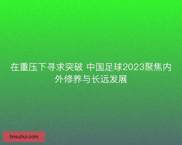 在重压下寻求突破 中国足球2023聚焦内外修养与长远发展