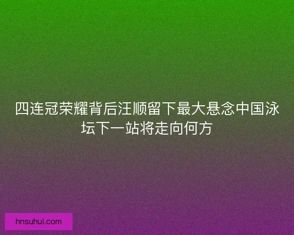 四连冠荣耀背后汪顺留下最大悬念中国泳坛下一站将走向何方 四连冠荣耀背后汪顺留下最大悬念中国泳坛下一站将走向何方