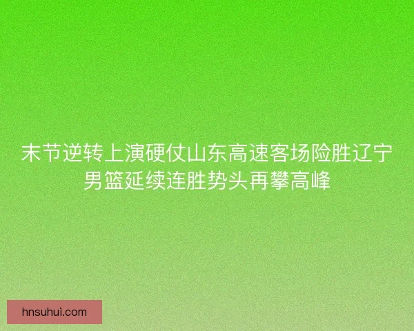 末节逆转上演硬仗山东高速客场险胜辽宁男篮延续连胜势头再攀高峰